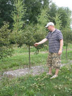 Pruning