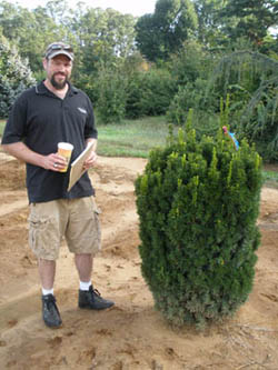 Taxus Tagging